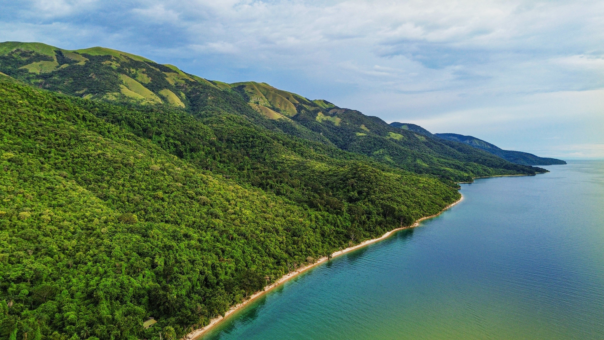 An Arial shot of the Gombe forest overlapping with Lake Tanganyika